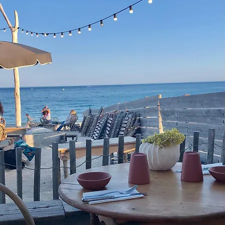 Yucca Au Calme Proche De La *