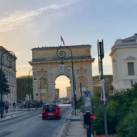 Yucca Au Calme Proche De La