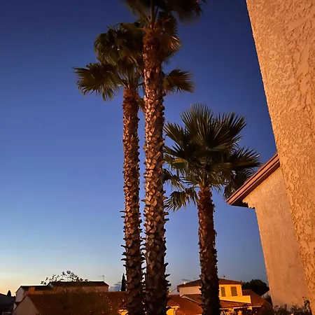 Yucca Au Calme Proche De La