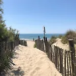 Yucca Au Calme Proche De La *