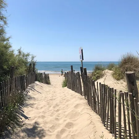 Yucca Au Calme Proche De La *