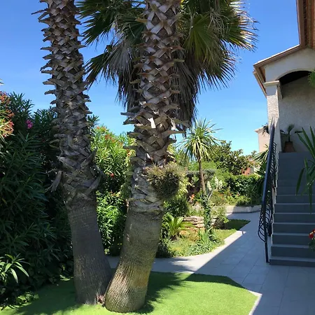 Yucca Au Calme Proche De La