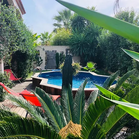 Lejlighed Yucca Au Calme Proche De La