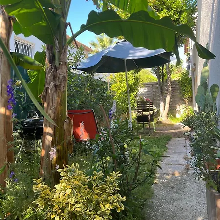 Yucca Au Calme Proche De La 아파트 *