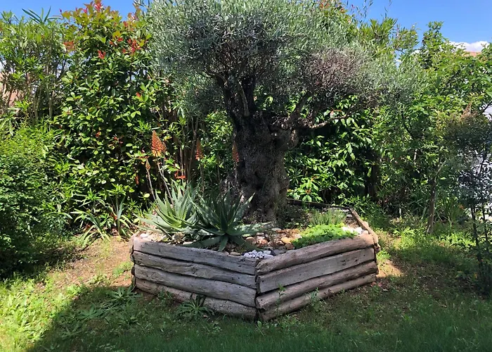 Yucca Au Calme Proche De La Pérols