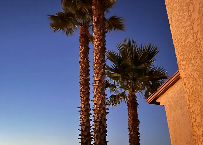 Yucca Au Calme Proche De La