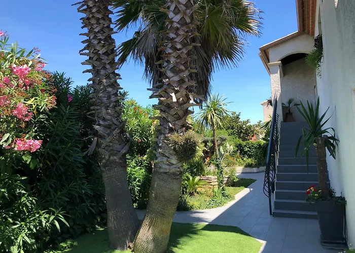Yucca Au Calme Proche De La