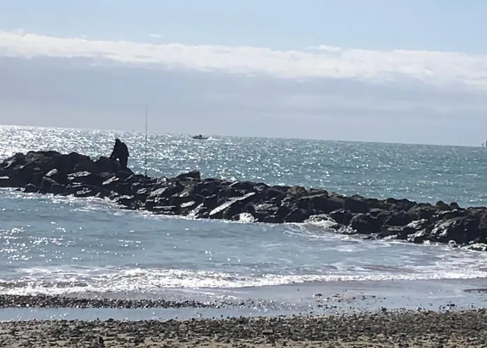 Apartment Yucca Au Calme Proche De La *